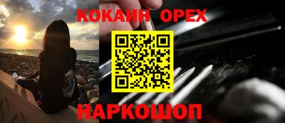 spice Камышлов