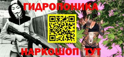 spice Камышлов
