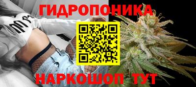 spice Камышлов
