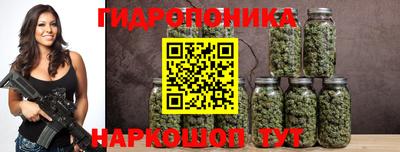 Альфа ПВП Канаш